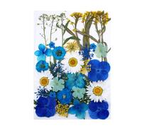 Zanthicia Dry Plants Stickers Tools Makeup Art Real Flower Decal Handicraft Colorful Pressed Specimen Label for Supplies, Type4