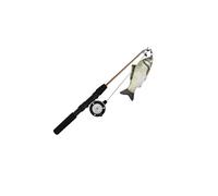 Zanthicia Dynamic Cat Wand Toy With Adjustable Fishing Pole Characteristics Providing Fun Catching Tasks For Kittens And Cats Interactive Retractable Fishing Pole Wand Indoor