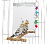 Zanthicia Exciting Bird Swing With Oversized Bird Mirror Toy Promises Fun And Enrichment In Every Cage With Safe Enjoyment