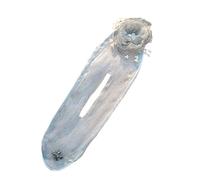 Zanthicia Mesh Hair Tie Bun Head Tool Set Fashionable Not Easy To Wear And Tear Gauze Hair Tie And Hairpin For Women Bun Shapers, Grey flower beads