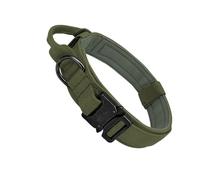 Zanthicia Nylon Dog Collar Leash Tear-resistant Odorless Wide Application Adjustable Durability Buckle Lock Non-toxic, Green, L