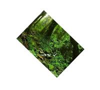 Zanthicia Stunning Fish Tank Adhesive Poster Colorful Aquarium Background Poster Brightens Up Fish Tank Aquascaping Experience Wall Decorations Sticker, Grass Green, 122x46cm