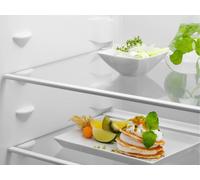 ZRDN18ES3 larder Fridge ZRDN18ES3