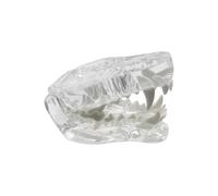 zaoalife Transparent Dog Tooth Model,Clear Canine Jaw Model with Teeth,Clear Dog Dental Mode Oral Teeth Model Education Decoration Demonstrate