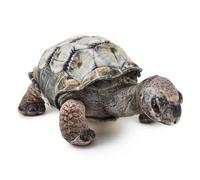 Zappi Co Aldabra Tortoise 31 cm Plush Toy Realistic Soft Cuddly Animal, Lifelike Detail, Perfect for Playtime & Collectors, (31cm Length)