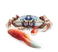Zappi Co - Children's Realistic Soft Cuddly Plush Toy Animal - Perfect Playtime Companions for Children with Lifelike Detail featured Tiktok (28cm Length) (Blue Fiddler Crab)