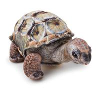Zappi Co - Children's Realistic Soft Cuddly Plush Toy Animal - Perfect Playtime Companions for Children with Lifelike Detail featured Tiktok (26cm Length) (Aldabra Tortoise)