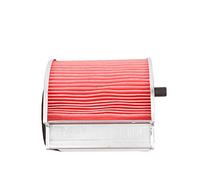 ZAPYVET Air Filter Rebel CMX250 CA250 Motorcycle 250CC 1996 1997 1998 1999 2000 2001 2002 2003 2004 2005 2006 2007 2008-2012 Motorcycle Air Filter