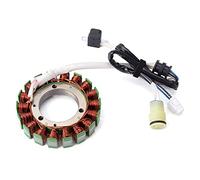 ZAPYVET Engine Generator Stator Coil, for Qlink, Front Runner,for Rodeo, for Massimo, for Alligator, 500 550 700 Knight 550 700 MSA500 MSU500 MSU700 327700001,31120-004-000 Motorcycle Ignition Coil