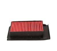 ZAPYVET Motorcycle Air Filter Intake Cleaner Grid, for YAMAHA, XT250 Magician 250 XT 250 Serow 2005-2017 XG250 XG 250 TRICKER 2004-2010 Motorcycle Air Filter