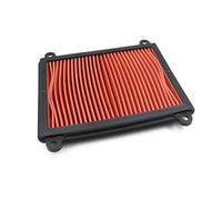 ZAPYVET Motorcycle Engine Air Filter Cleaner Air Intake Filter Element | for ZONTES ZT310V ZT310V1 ZT310VX ZT310 V/VX/V1
