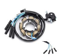 ZAPYVET Motorcycle Engine Generator Stator Coil,for CRF450R CRF 450R 450 R 2002 2003 31100-MEB-670 31100-MEB-671 Motorcycle Ignition Coil