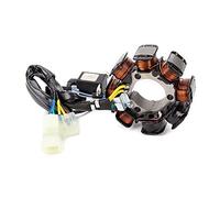 ZAPYVET Motorcycle Generator Stator Coil FourTrax 250 250ES TRX250TE TRX250 Recon ReconTE ReconTM TRX250EX Sportrax 250EX Motorcycle Ignition Coil