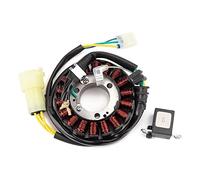 ZAPYVET Motorcycle Generator Stator Coil TRX300EX Sportrax 300 EX 1993-2008 TRX300X 2009 31120-HM3-671 11395-HM3-670 Motorcycle Ignition Coil