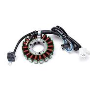 ZAPYVET Motorcycle Stator Coil Fits, for YamahA, TTR250 TT-R250 1999-2006 TT250R TT-R 1993-2004 TT250R RAID 1994-1996 Generator Magneto Motorcycle Ignition Coil