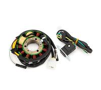 ZAPYVET Motorcycle Stator Coil Magneto Engine Stator Coil ,for CMX250 Rebel CMX 250 CMX250X CB250 Nighthawk Two Fifty CB 250 Police Motorcycle Ignition Coil