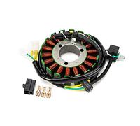 ZAPYVET Stator Coil Generator Magneto,for SV650 SV650S DL650 V-Strom DL650 ABS V Strom SV 650 650S 32101-17G00 32101-17G10 32101-17G12 Motorcycle Ignition Coil