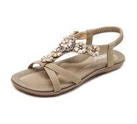 ZAPZEAL Womens T-Strap Sandals Flat Bohemia Style Roman Clip Toe Flip Flop Casual Summer Shoes Size EU 44 = 9 UK Apricot