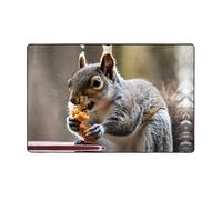 ZAQXSWCDEV Cute Squirrel Luxurious 60x39in Carpet – Full-Width Single-Sided Print, Soft Flannel Fabric, High-Density Memory Foam, Non-Slip & Durable Base