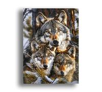 Zariocy 5D Diamond Art Kits for Adults Wolves, DIY Diamond Painting Art Winter Animals Round Full Drill Crystal Diamond Embroidery Paintings Arts Craft for Home Office Wall Decor 30x40 cm