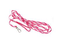 ZASCHMOY Adjustable Small Pet Harness Leash for Hamster, Guinea Pig, and Squirrel - Nylon Braided with Bell, Blue & Purple, Outdoor Walking and Training Lead (Pink + rose red)