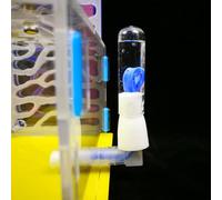 ZASCHMOY Farm, Clear Acrylic Villa with Water Inlet for Easy Observation, Ideal Lovers and Enthusiasts (Yellow)