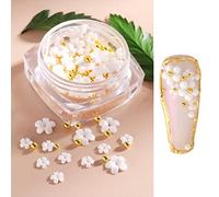 ZASCHMOY Flower Nail Rhinestones, Mini Lovely Flowers Design with Bright Color Changing Under Sunlight, for DIY Nail Art Decorations Women Girls (White)