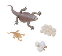 ZASCHMOY Lizard Life Cycle Figurine Toy - Educational Interactive Reptile Growth Cycle Model Set for Home & School, Perfect for Learning & Decoration