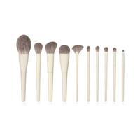 ZASCHMOY Makeup Brush Set, Professional Synthetic Fibre Brushes for Smooth Blending and Precise Applicatio6678n, with Portable Case Travel On the Go Touch Ups