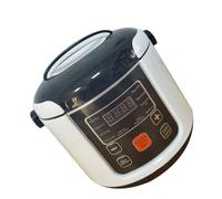 ZASCHMOY Mini Rice Cooker - 2024 Upgrade 2L Small Electric Rice Cooker with Keep Warm Function - Perfect for 2-4 People - Portable for Travel, Camping, Car and Truck Use (24V)