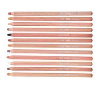 ZASCHMOY Pastel Pencil Portrait Set - Professional Hand-Painted Toner & Charcoal Drawing Tool Kit - Ideal for Beginners & Advanced Artists - 12 Colorful Pastel Pencils for Portrait Art,