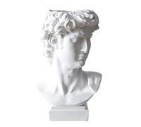 Zasdvn David Head Statue, Resin Bust Statue Figurine 16Cm, Classic Roman Bust Greek Mythology Sculpture, David Roman Style Sculpture Planter Makeup Brushes Container