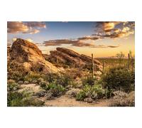 ZatiasMiller Reptile Habitat Background Blue Sky Sunset Oasis Cactus and Desert Terrarium Background Natural Landscape Tank Backdrop Wallpaper Aquarium Background Decor Vinyl 30x12in