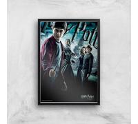 Zavvi Harry Potter and the Half-Blood Prince Giclee Art Print A4 with Black Frame