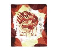 Zavvi Harry Potter Gryffindor Fleece Blanket