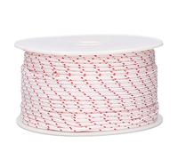 ZAWELIYO Nylon Starter Rope for Chainsaw, 100m Pull Cord Replacement for Lawn Mower Engine and Trimmer, Heavy Duty Braided Nylon Rope (Chm)