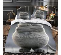 ZAWPPEUIO 3D Design Printed 3-Piece Bedding Set Bed Decor Zipper Closure Design Angry Cat Standing Quilt Cover Washable Anti-allergic for Adults,Kids,Women coon Duvet Cover Double（200x200cm）