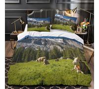 ZAWPPEUIO 3D Print 3-Piece Bedding Set Bedroom Decor Zipper Closure Super Alpine Pasture Quilt Cover Machine Washable Easy Care for Kids,Teens,Adults Swiss Mountain Duvet Cover Double（200x200cm）