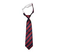 ZAYIUKI Boy Neckties Pre-tied Striped Tie for School Kid Uniform