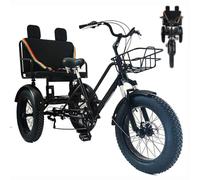 ZAYMGPD 20-Inch Tricycle, 100kg Load Capacity, Thickened Tires, 7-Speed Gearbox, Storage Basket, Can Carry Passengers,Suitable for Adults, Daily Commuting and Riding, 40% Self-Assembly Required