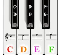 Zayvor Piano Keyboard Stickers for 88/76/61/54/49/37 Key, Music Note Piano Stickers for Learning, Removable Piano Keyboard Letters, Removable Notes Label for Beginners & Kids, Multicolor