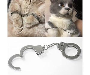ZB.soar Funny Cat Handcuffs, Key Buckle,Stainless Steel Pet Toy Handcuffs, Mini Pet Handcuff Suitable for Most Small Pets,Increase The Relationship with Your Pets (Metal)