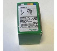 ZB4BJ291 Switch: Rotary Rod Pos: 2 22Mm Black Bel: Missing IP66 Pos: 2 CUT