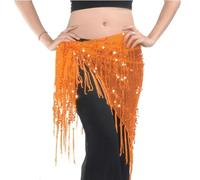 ZBDP Belly Dance Hip Scraf Sequins Skirt Practice Clothes Female Adult Elegant Triangle Belt Performance Training Clothing