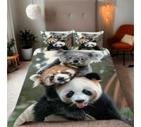 Zbeiba Raccoons, koalas, and giant pandas playing Pattern Duvet Cover and pillowcase,Microfiber Quilt Cove Single Bedding Set 3 Piece(135x200+2 * 50x75,#3)