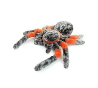 ZBELLO Cuddly Ant Plush Toy, Ugly Soft Toy, Insects, Small Insect Soft Toys Mantis, Spider, Bee, Funny Little Animal Soft Toys, Soft Toy Gifts for Friends and Children (Spider)