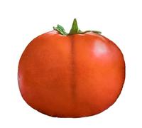 ZBELLO Vegetable soft toy, realistic vegetable soft toy, small cuddly, creative fruit and cuddly, for boys and girls (41x41cm tomato)