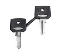 ZBG421E key 22 mm Harmony XB4 2pcs. SCHNEIDER ELECTRIC