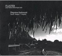 Zbigniew Karkowski, Kasper T. Toeplitz - Fluster