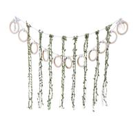 ZBIianxer Chinchillas Climbing Rings for Pet Rodents Encourages Exploration and Dentals Health in Cage Environment Corn Snake Enrichment Toy